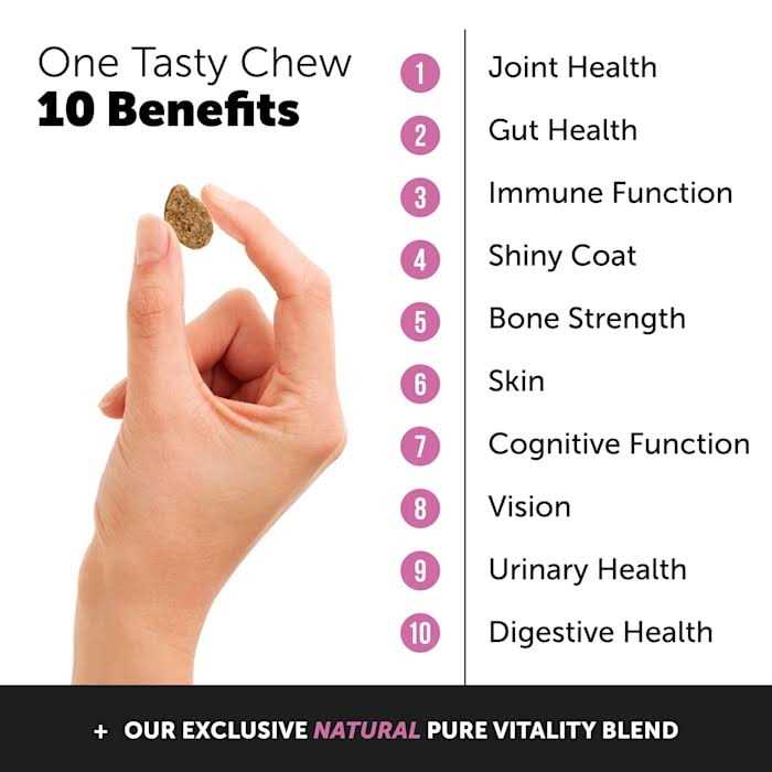 Pet Honesty Dog 10 in 1 Multivitamin Glucosamine Soft Chews - Image 4