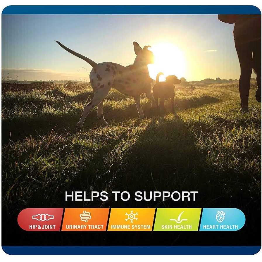 Sergeants VetIQ 5-in-One Multi-Benefit Soft Chews for Dogs - Image 4