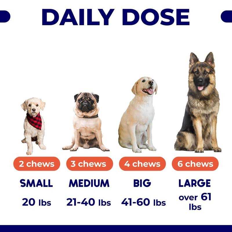 GoodGrowlies Omega 3 Alaskan Fish Oil Treats for Dogs Dry & Itchy Skin Relief + Allergy Support - Image 4