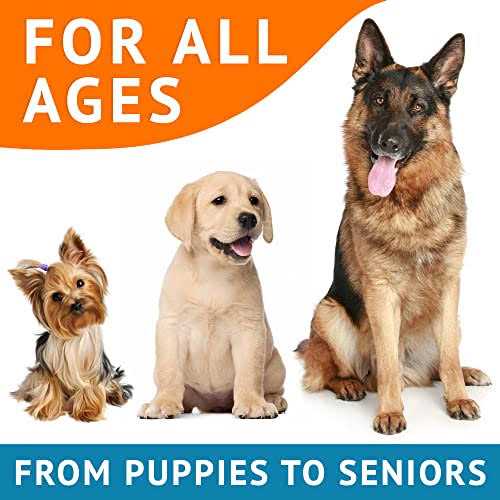 GoodGrowlies Omega 3 Alaskan Fish Oil Treats for Dogs Dry & Itchy Skin Relief + Allergy Support - Image 5