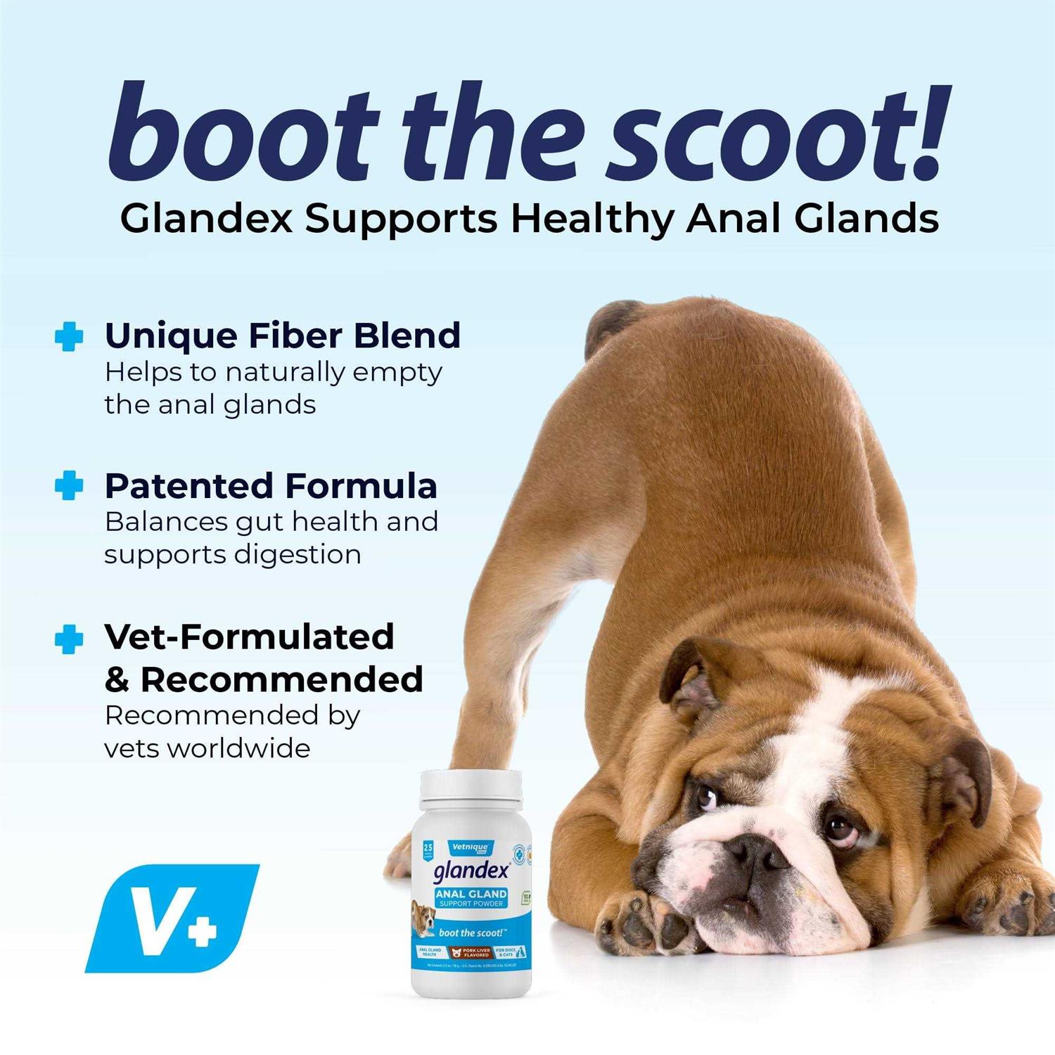 Glandex Anal Gland Support Powder for Dogs & Cats - Image 5