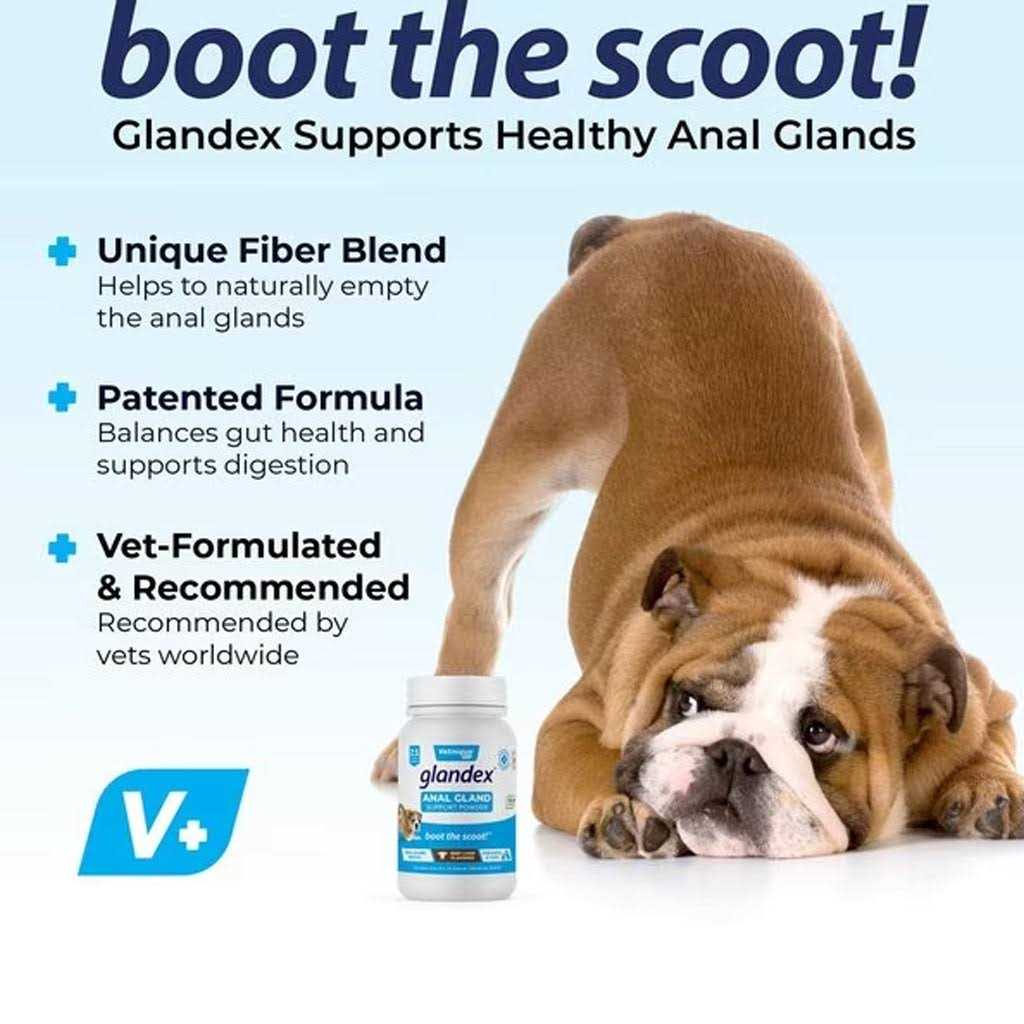Glandex Anal Gland Support Powder for Dogs & Cats - Image 3