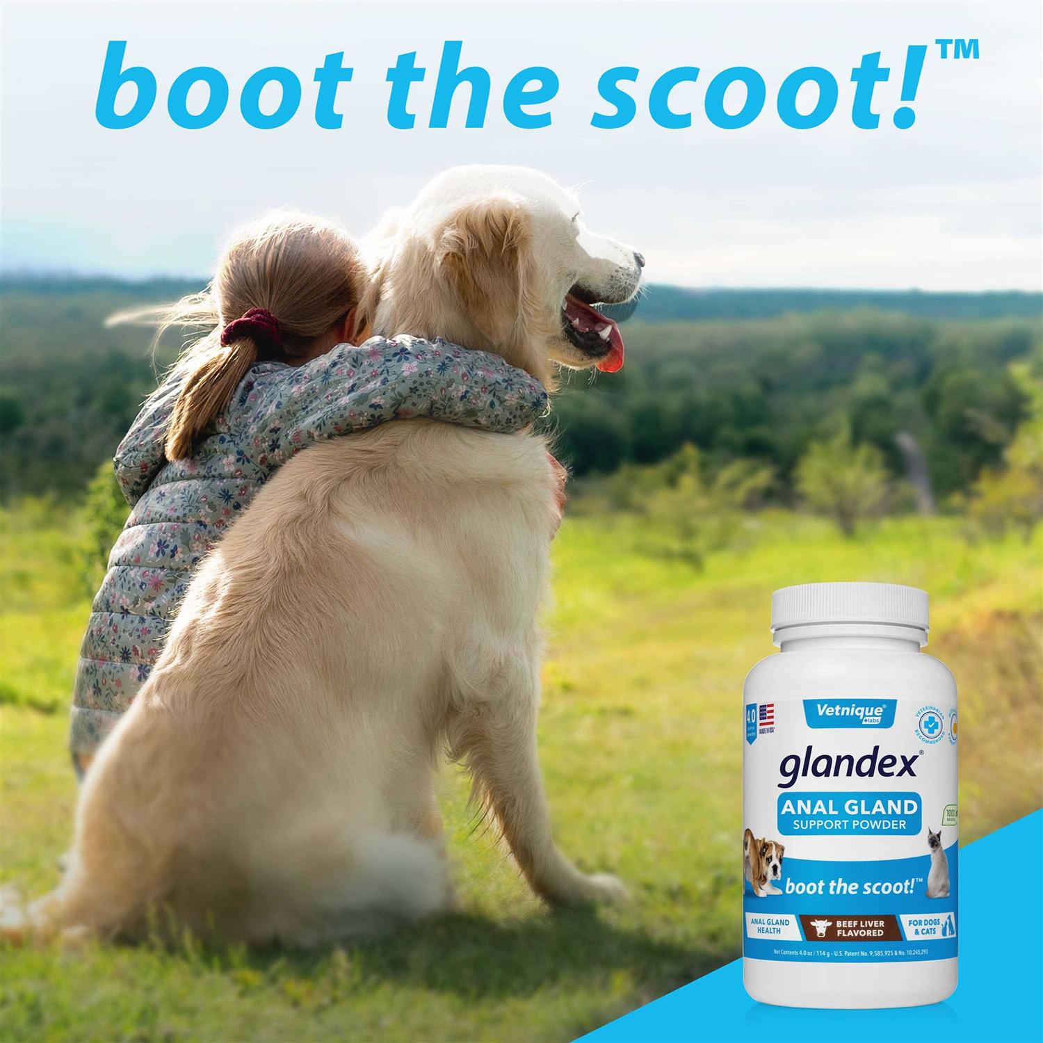 Glandex Anal Gland Support Powder for Dogs & Cats - Image 4