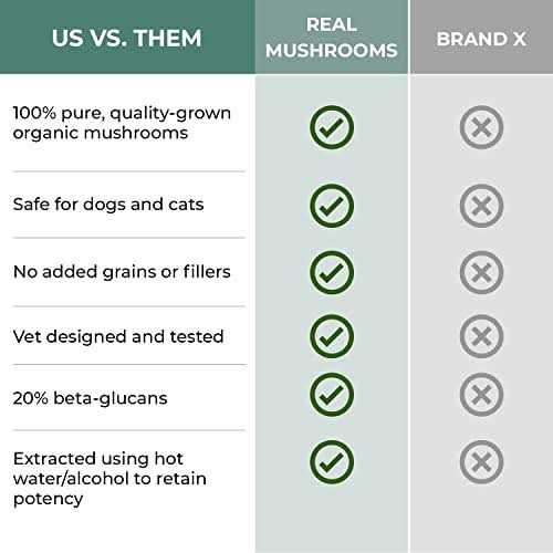 Real Mushrooms 5 Defenders Organic Mushroom Blend - Image 4