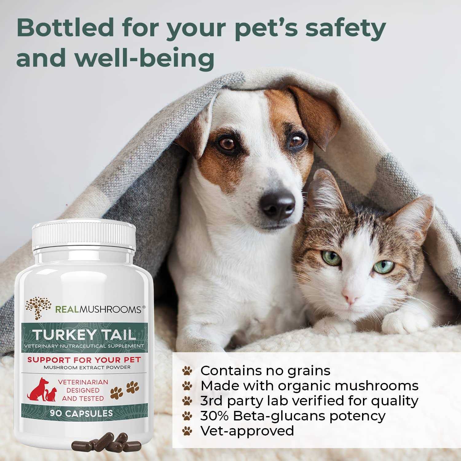 Real Mushrooms Turkey Tail Extract Capsules for Pets - Image 3