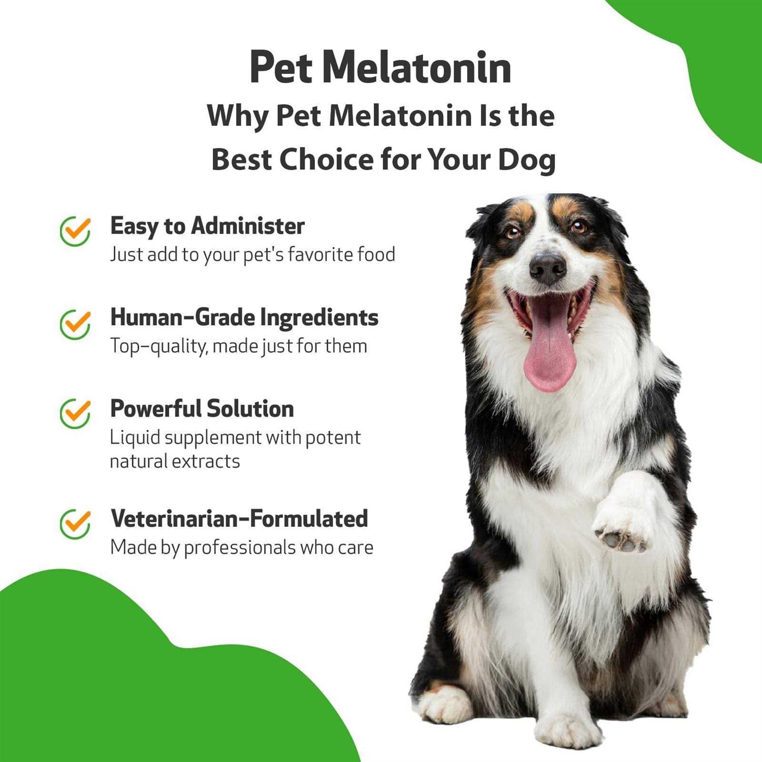 Pet Melatonin for Dogs - Image 4