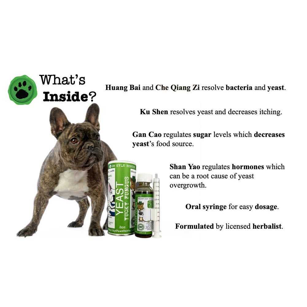 Healthy Paws Herbal Labs Liquid Supplement for Dog Yeast & Fungus - Image 3