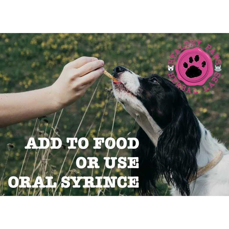 Healthy Paws Herbal Labs Liquid Supplement for Dog Yeast & Fungus - Image 5