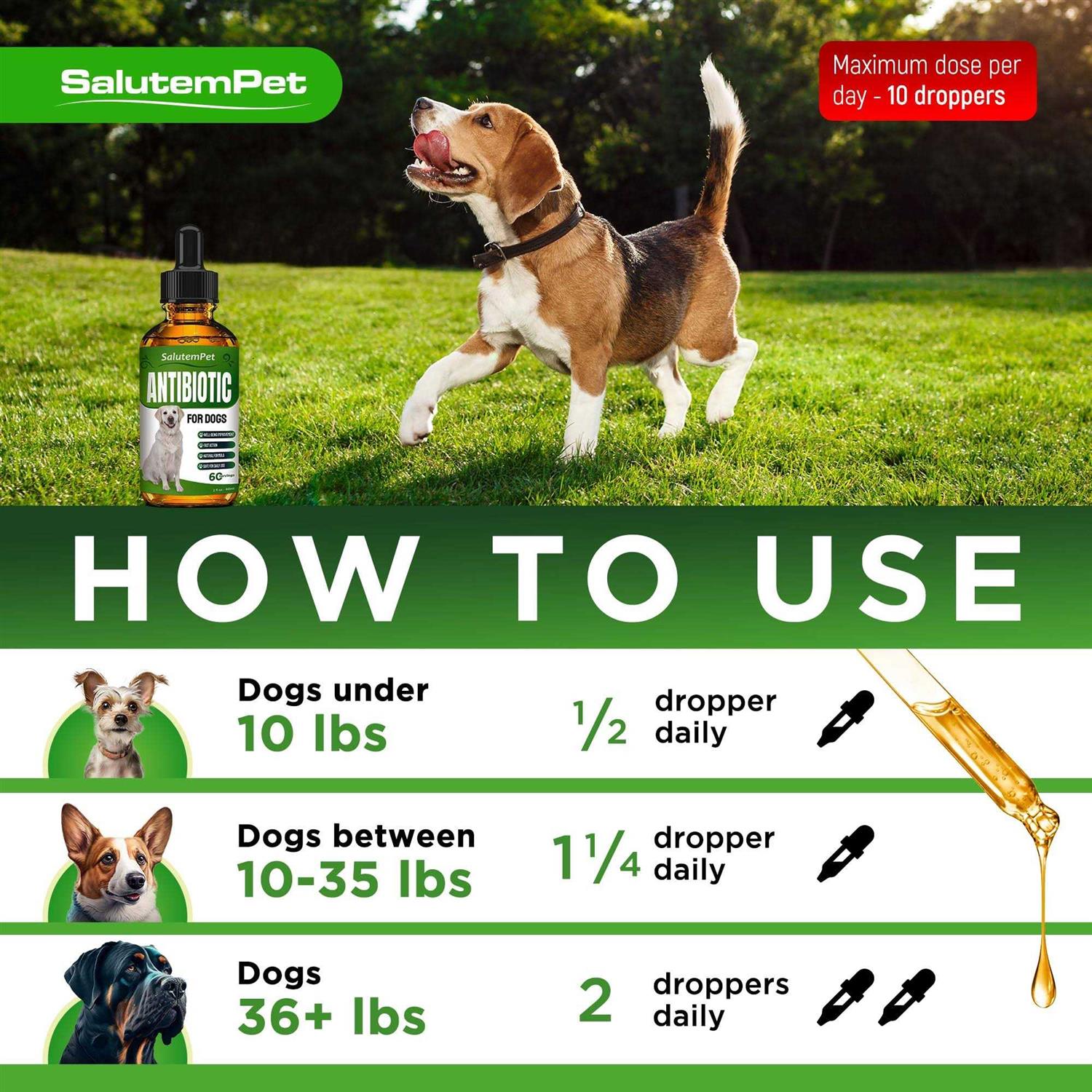 Natural Antibiotics for Dogs Dog Antibiotics Supports Dog Allergy Relief - Image 4
