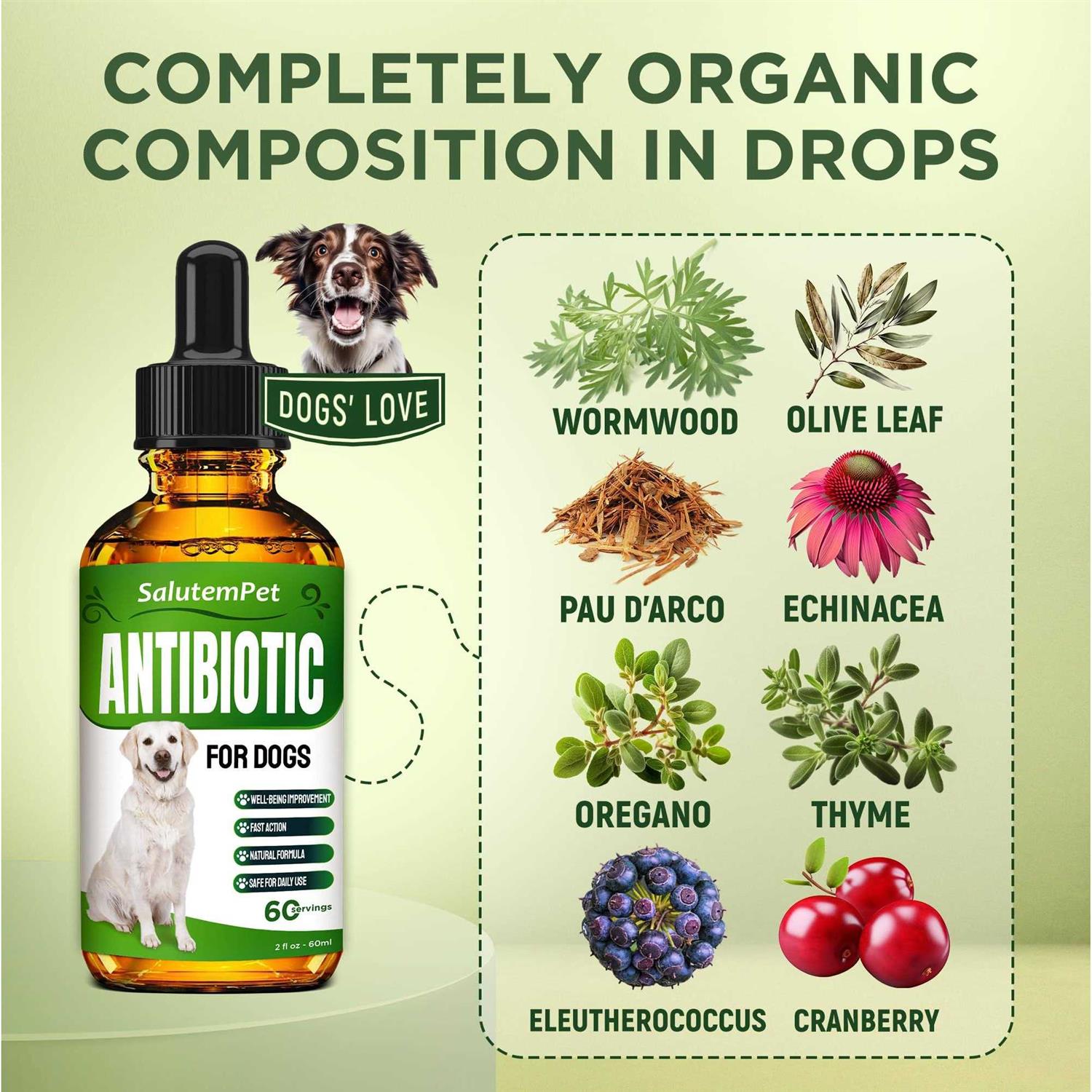 Natural Antibiotics for Dogs Dog Antibiotics Supports Dog Allergy Relief - Image 5