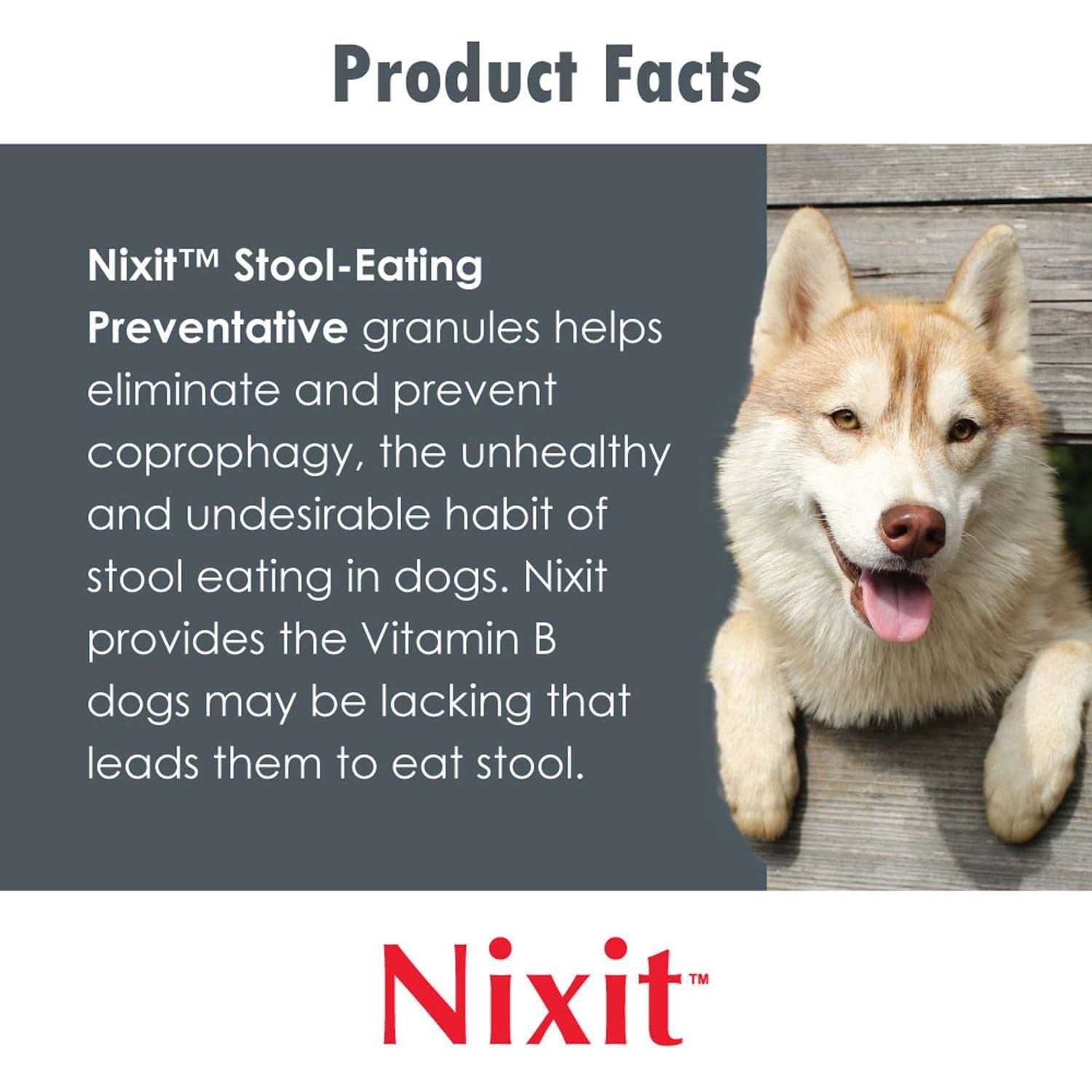 NIXIT Stool-Eating Preventative for Dogs Vitamin B Supplement - Image 4