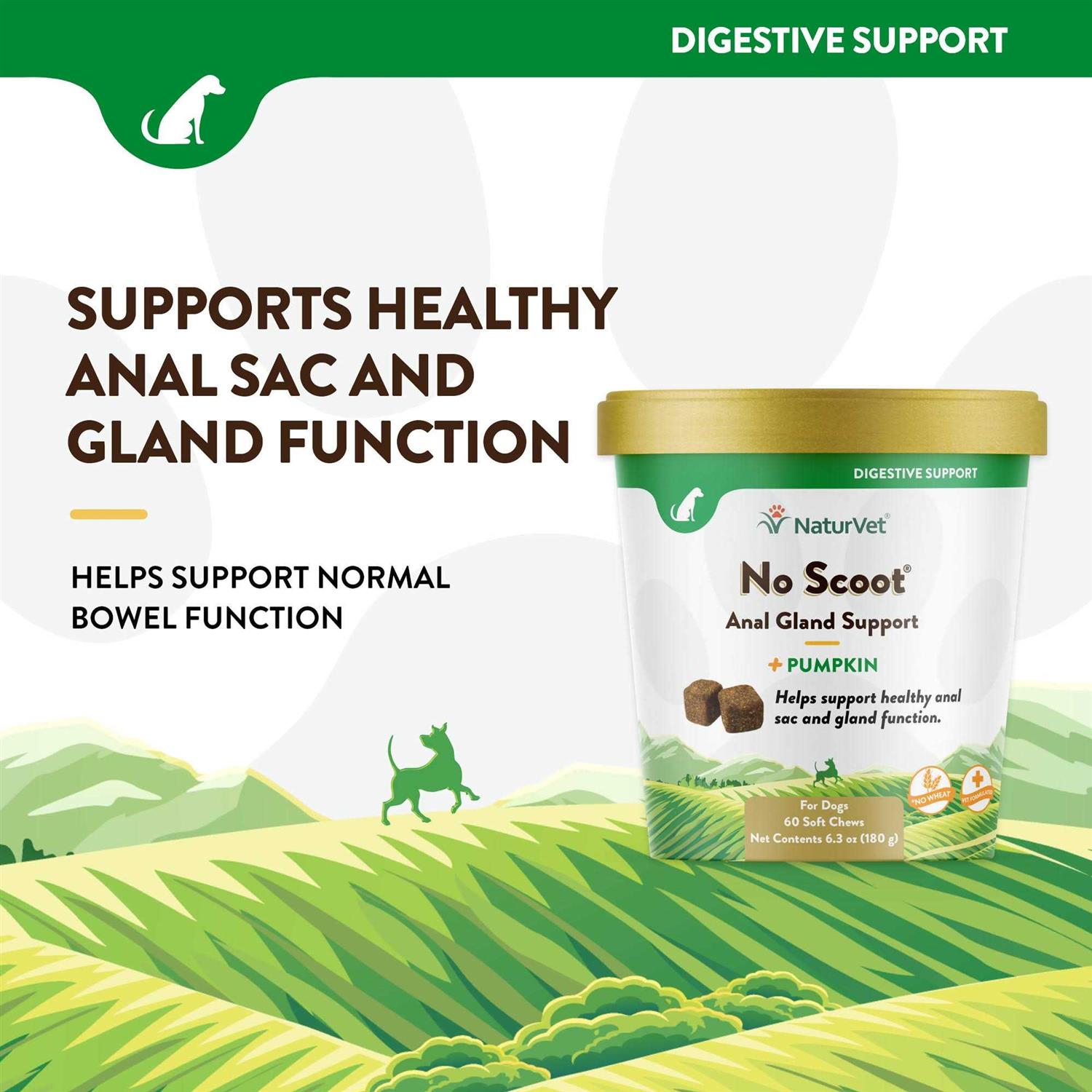 NaturVet No Scoot Plus Pumpkin Soft Chew - Image 5