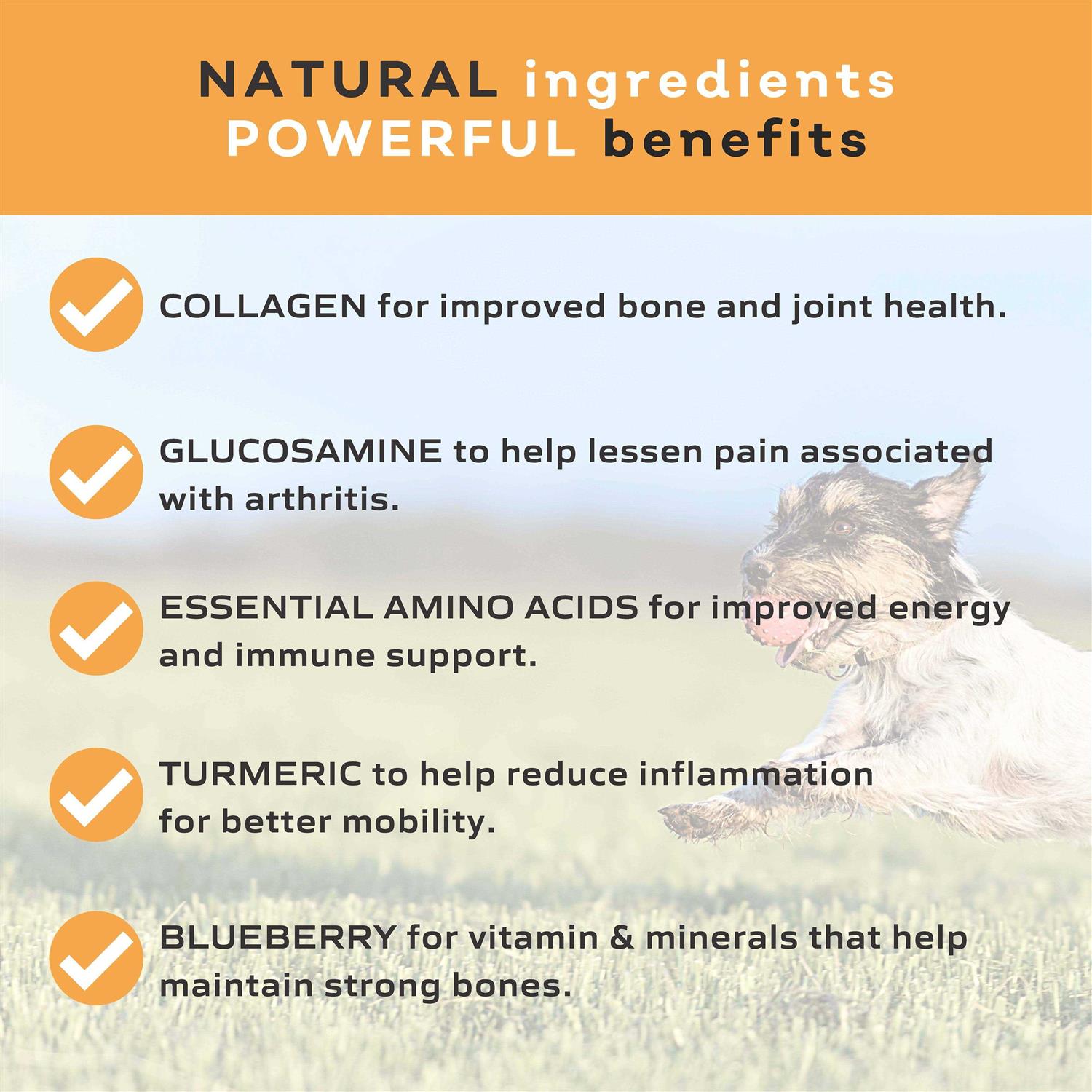 MYOS Muscle & Mobility Collagen Chew for Dogs - Image 3