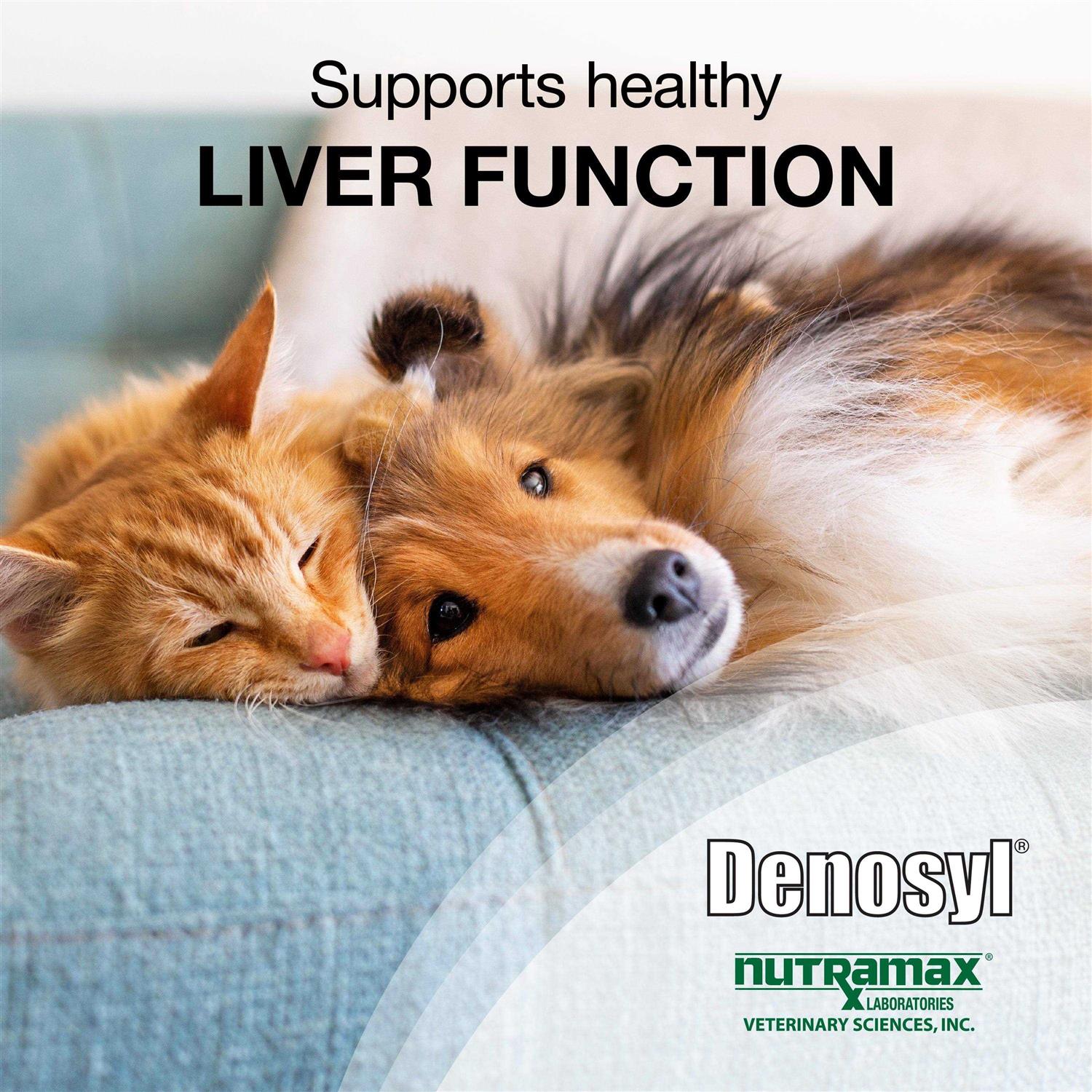 Nutramax Denosyl Liver and Brain Health Supplement for Small Dogs & Cats - Image 3