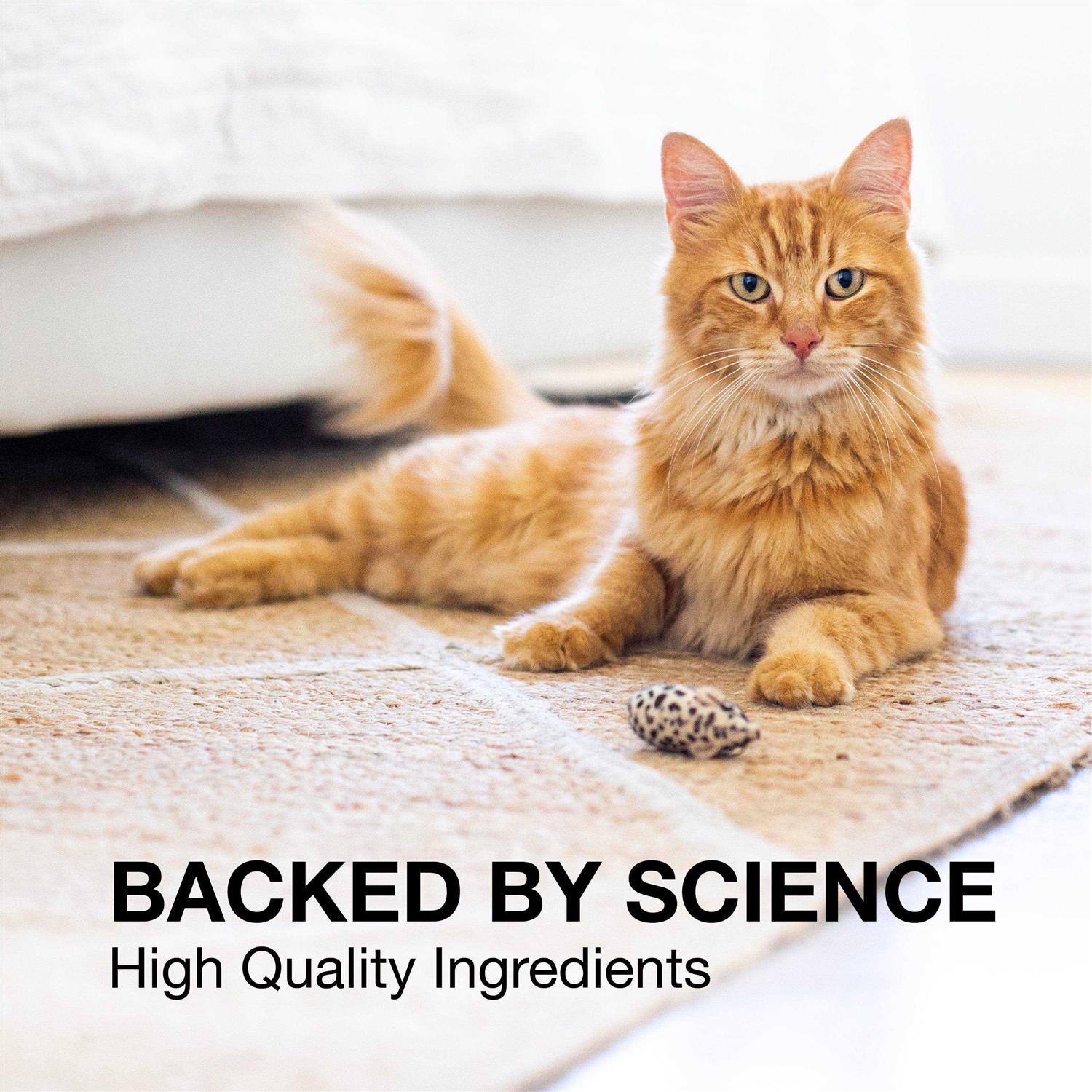 Nutramax Denosyl Liver and Brain Health Supplement for Small Dogs & Cats - Image 4