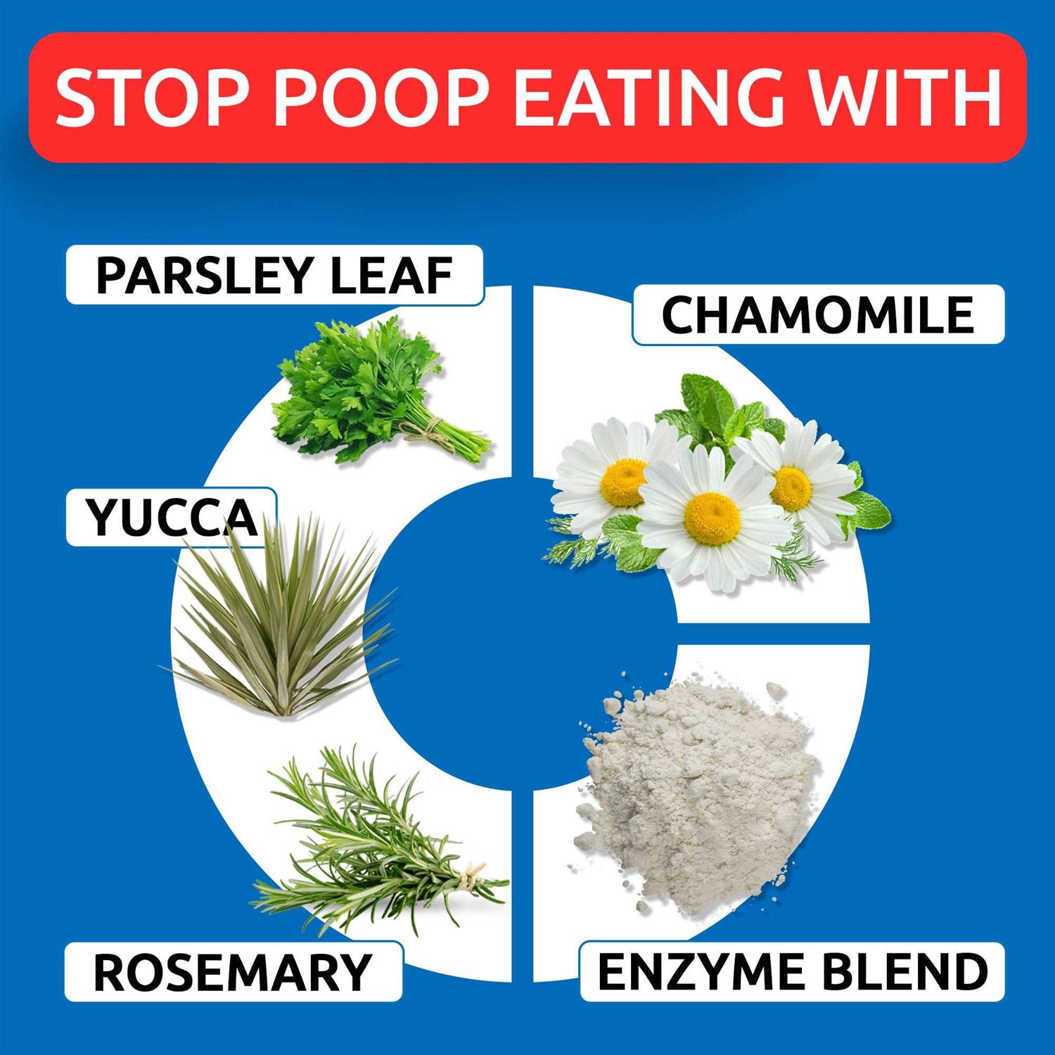 Bark&Spark Chew No Poo - Image 4