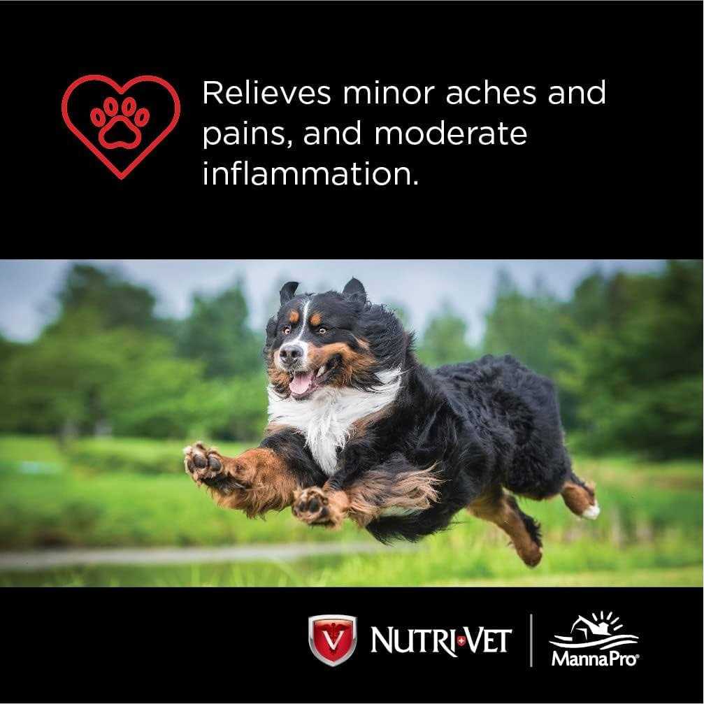 Nutri-Vet Small Dog Chewables, 100 count - Image 3