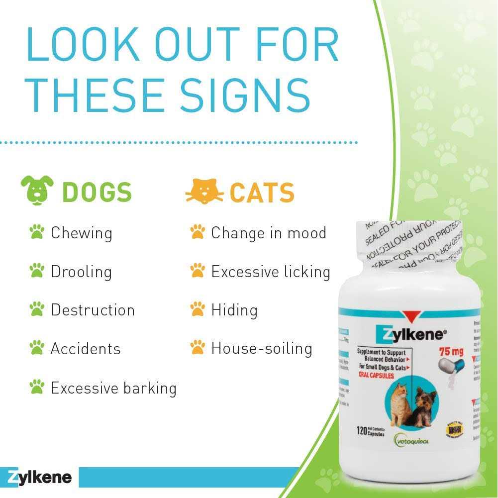 Zylkene Vetoquinol - Image 5