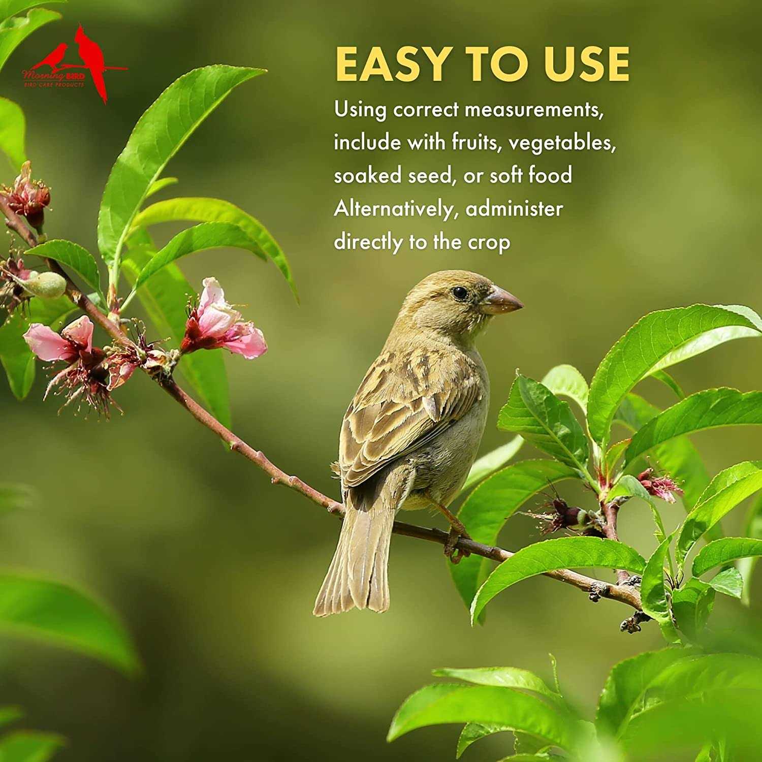 Morning Bird Thrive - Image 3