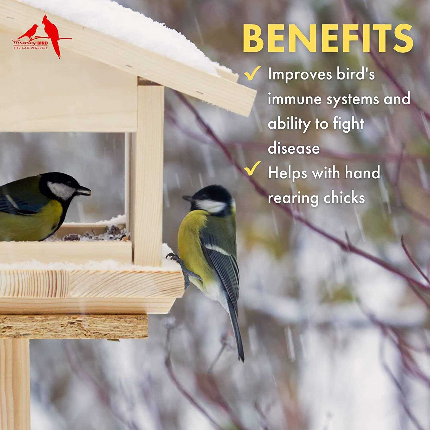 Morning Bird Thrive - Image 5