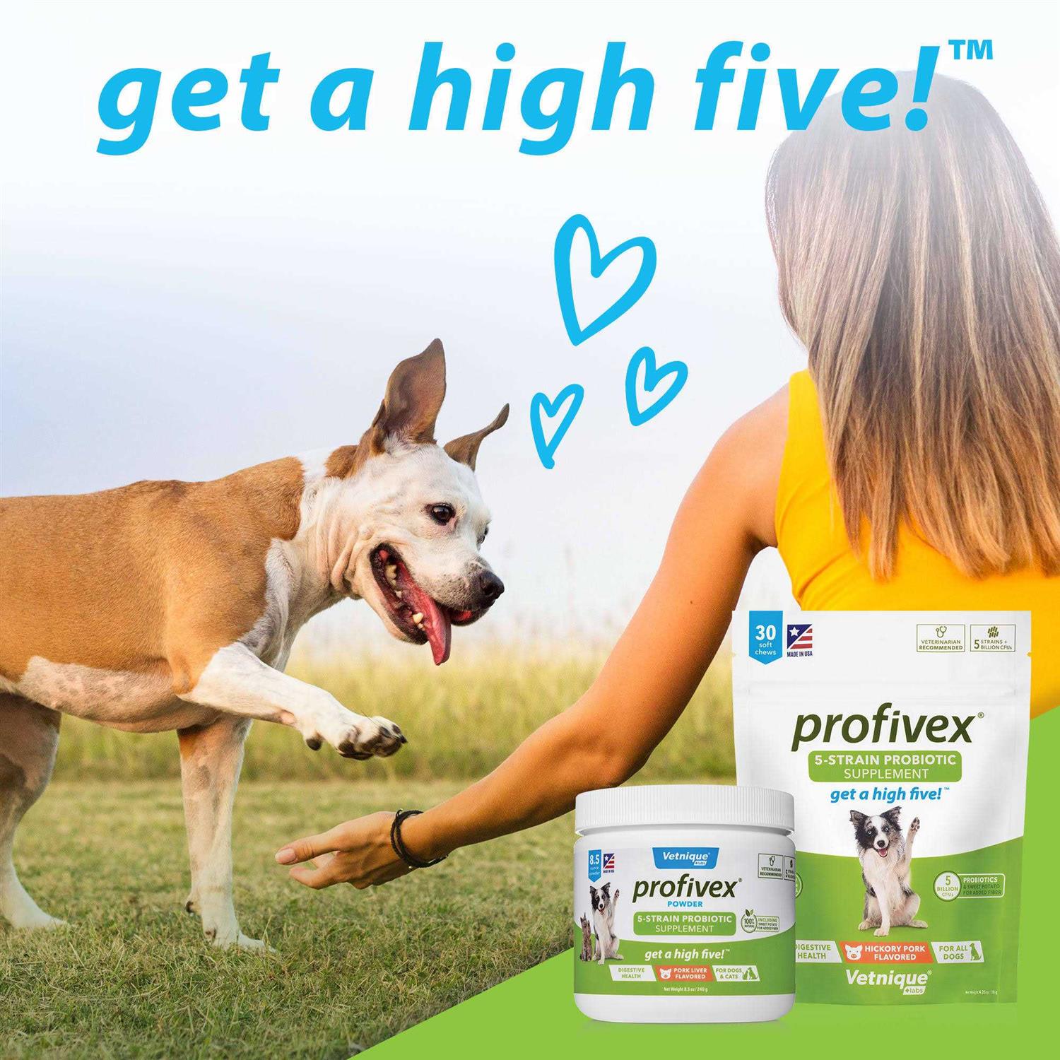 Profivex Probiotic Powder for Dogs & Cats - Image 3