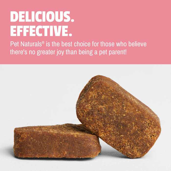 Pet Naturals Daily Probiotic for Dogs - Image 5