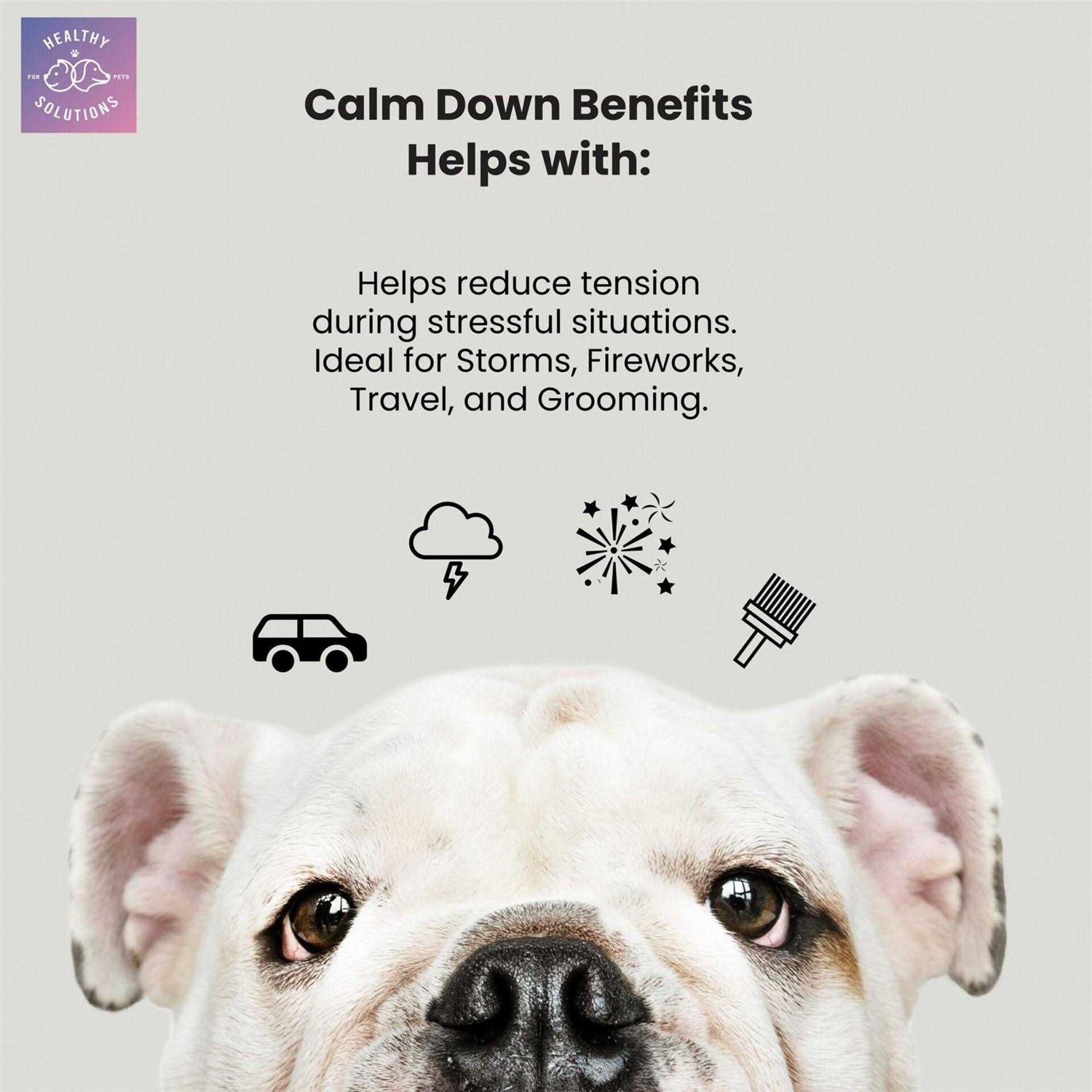 Healthy Solutions for Pets Dog Calming Aid Soft Chew Supplement with Ginger and Melatonin - Image 4