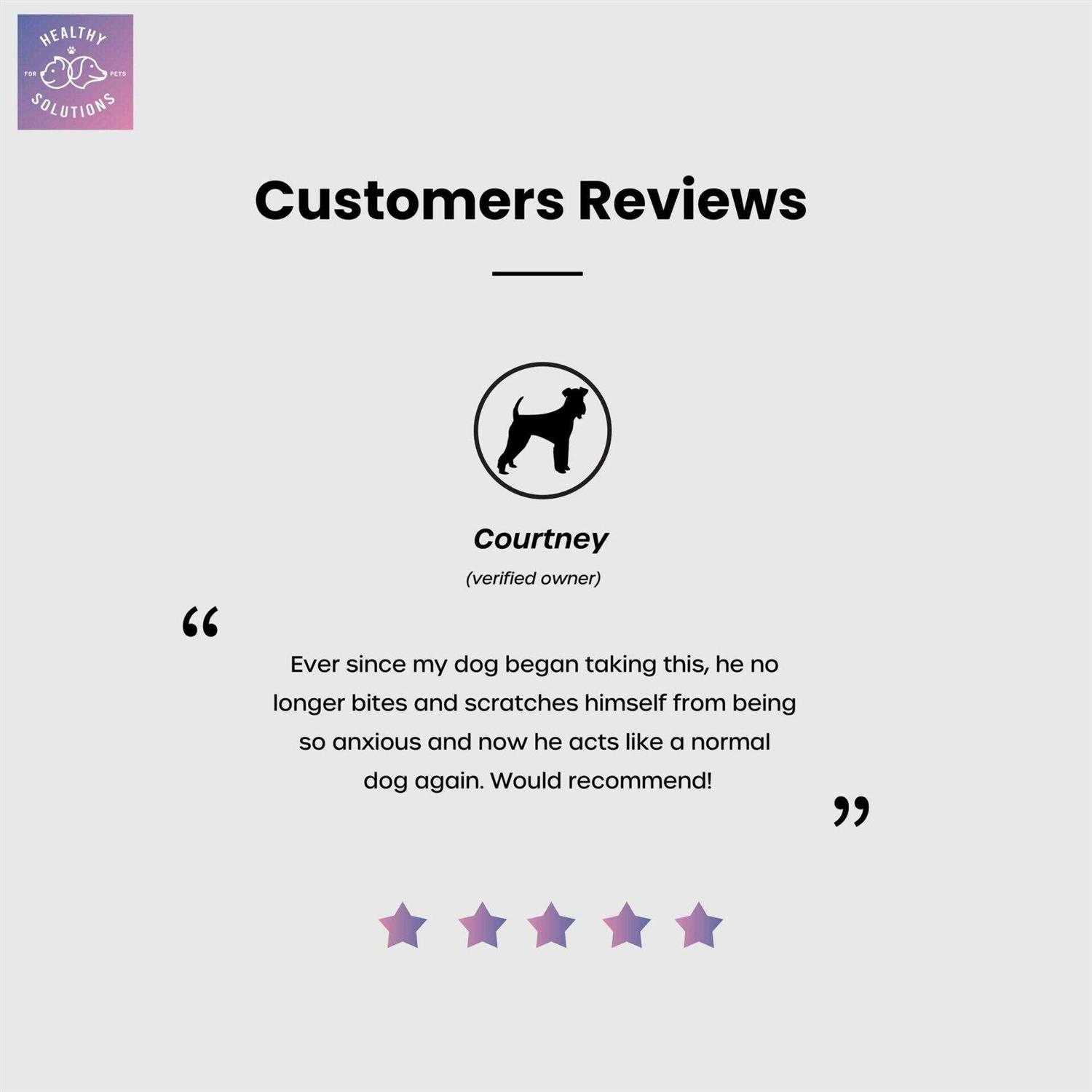 Healthy Solutions for Pets Dog Calming Aid Soft Chew Supplement with Ginger and Melatonin - Image 5