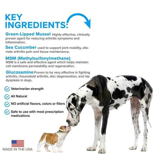 VetSmart Formulas Advanced Hip + Joint Complex with MSM and Green-Lipped Mussel for Dogs - Image 4