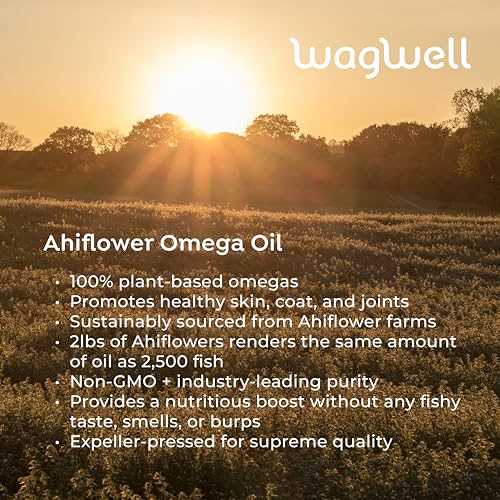 Ahiflower Omega Oil For Dogs | Wagwell Pet - Image 4