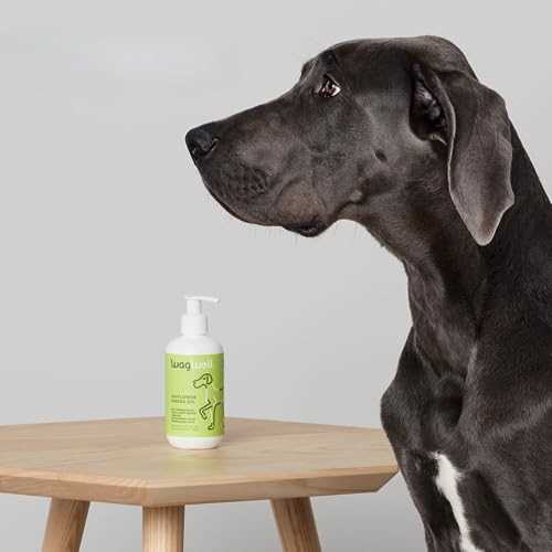 Ahiflower Omega Oil For Dogs | Wagwell Pet - Image 5