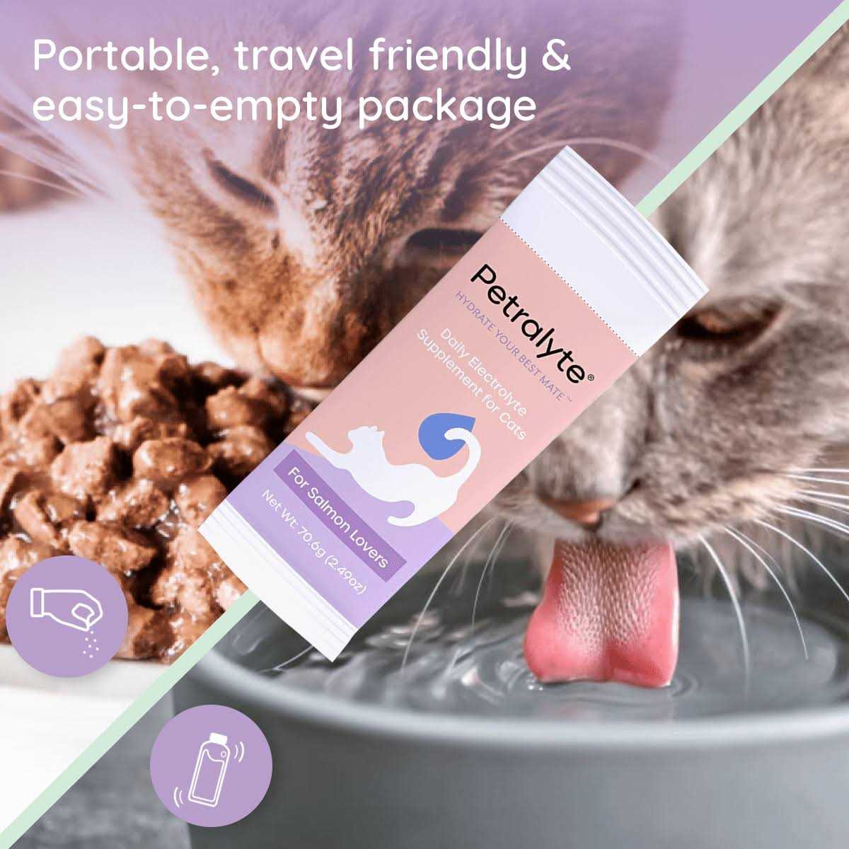 Petralyte Cat Electrolyte and Joint Supplement - Image 3