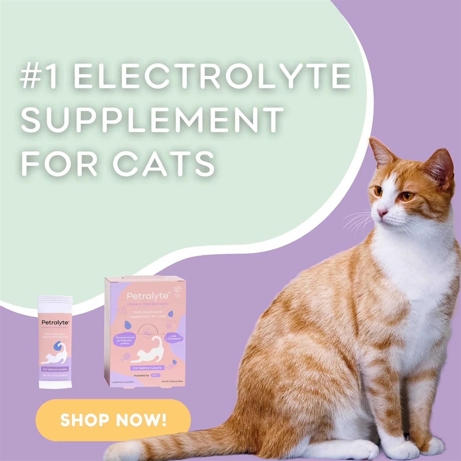 Petralyte Cat Electrolyte and Joint Supplement - Image 4
