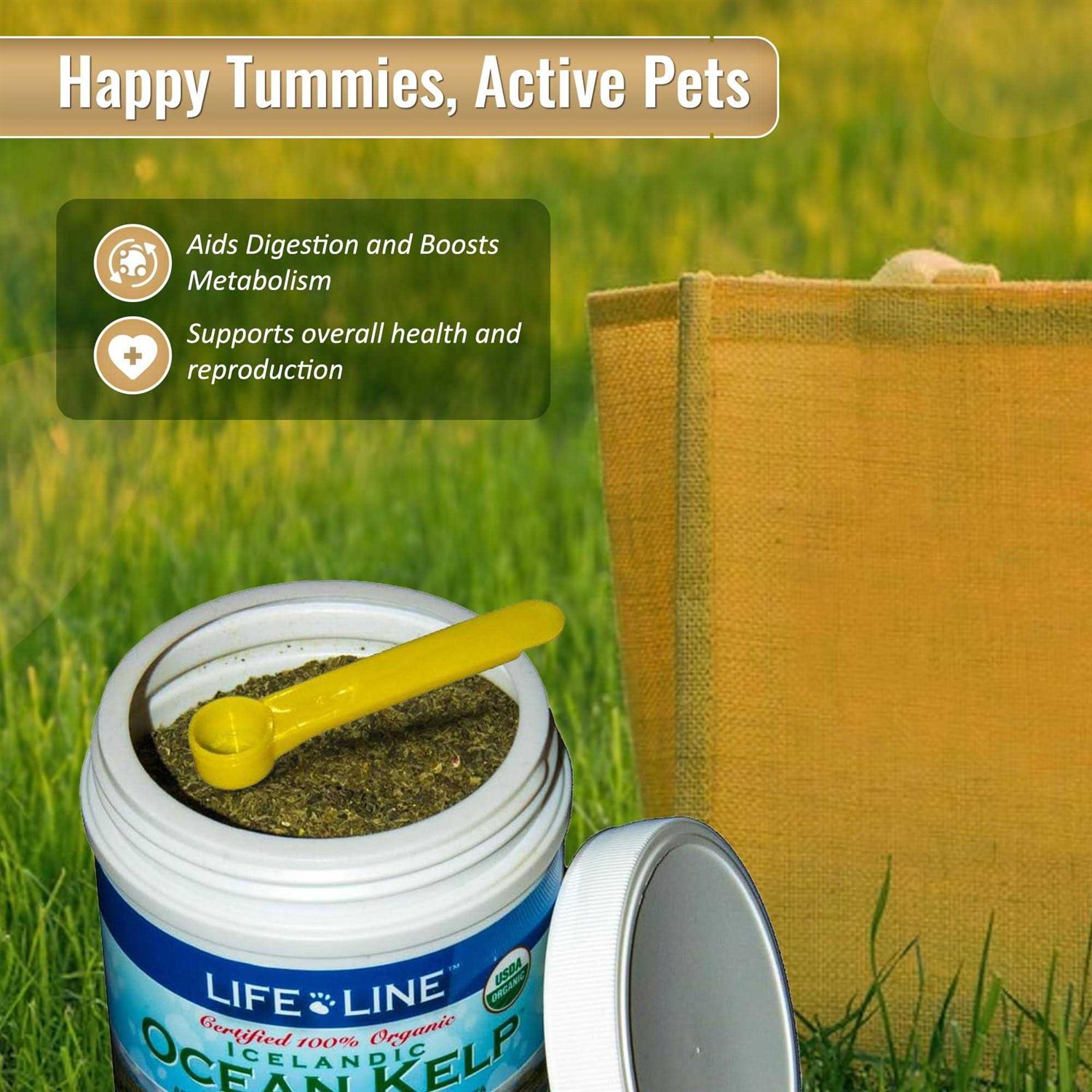 Life Line Pet Nutrition Life Line Ocean Kelp Dog & Cat Supplement - Image 3