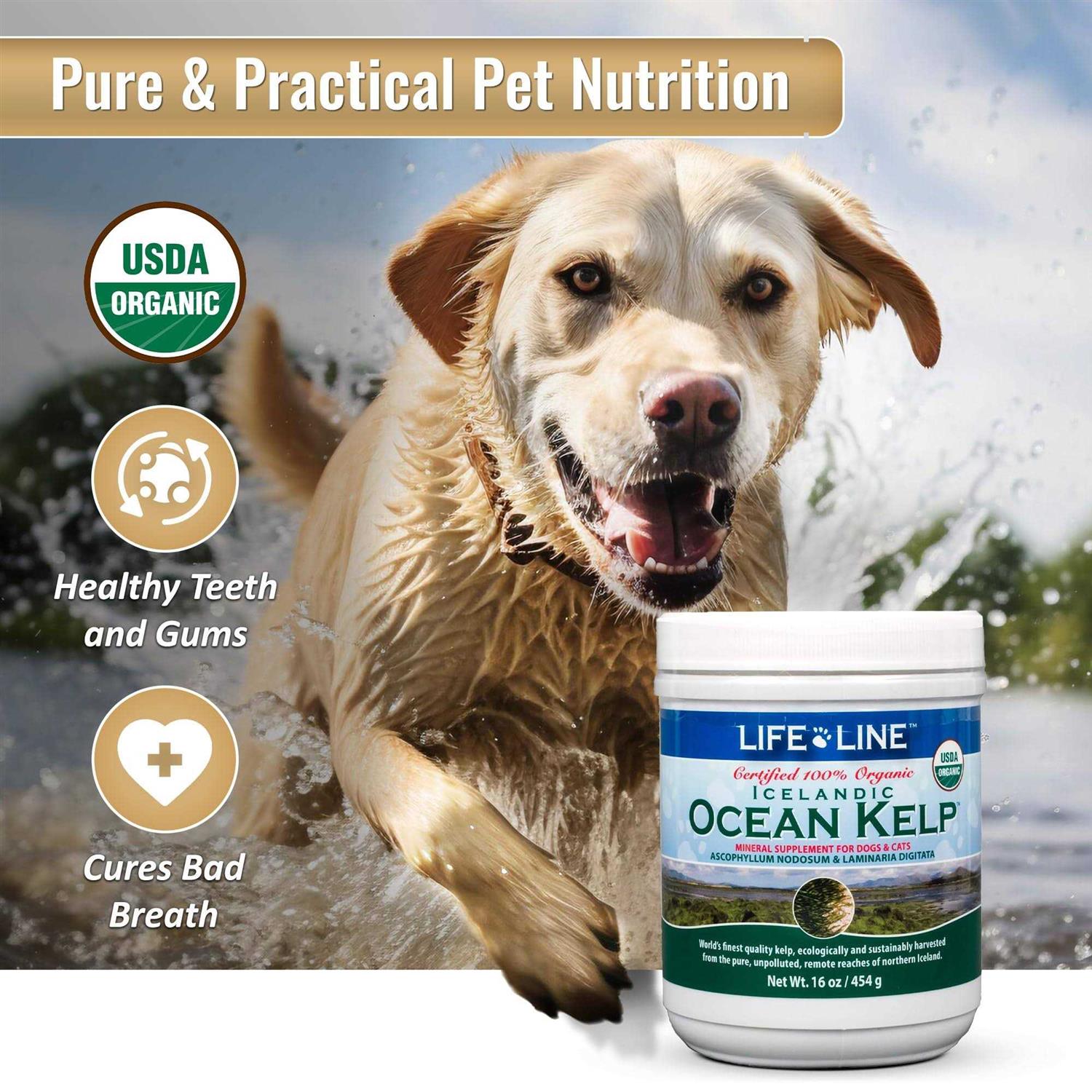 Life Line Pet Nutrition Life Line Ocean Kelp Dog & Cat Supplement - Image 4
