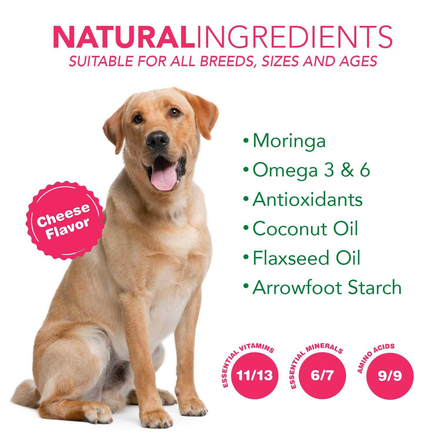 Ruji Naturals 6x1 Multivitamin Superfood Dog Supplement - Image 5