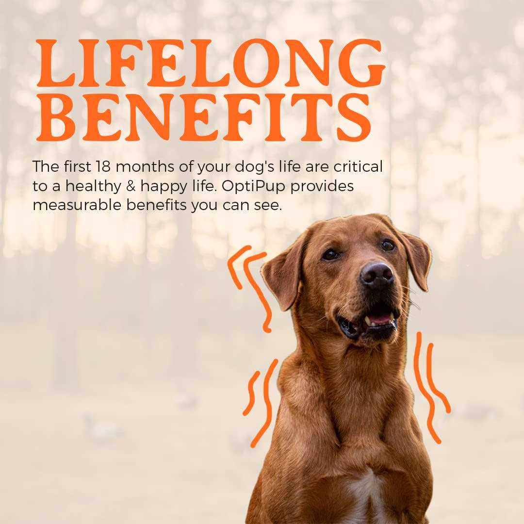 OptiPup All in 1 Puppy Multivitamin & Probiotic by Alpha Dog Nutrition - Image 3