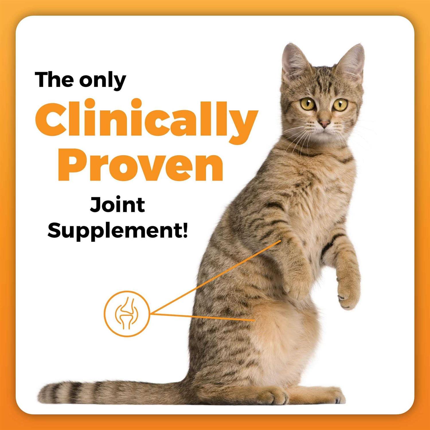 VetriScience GlycoFlex Plus Hip & Joint Support for Cats - Image 4
