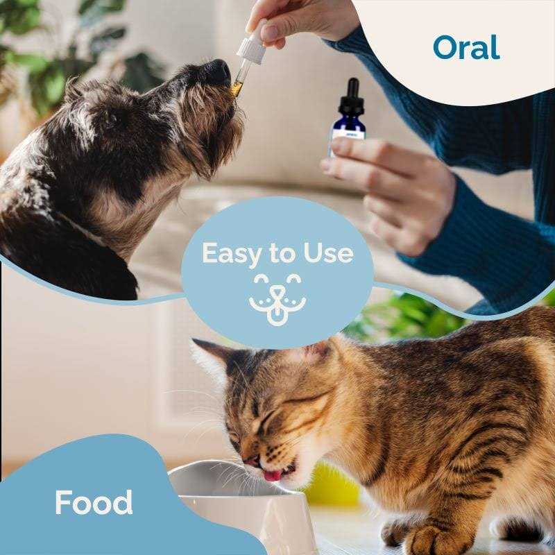 Prana-Pets.com Cold Symptom Support for Cats - Image 5