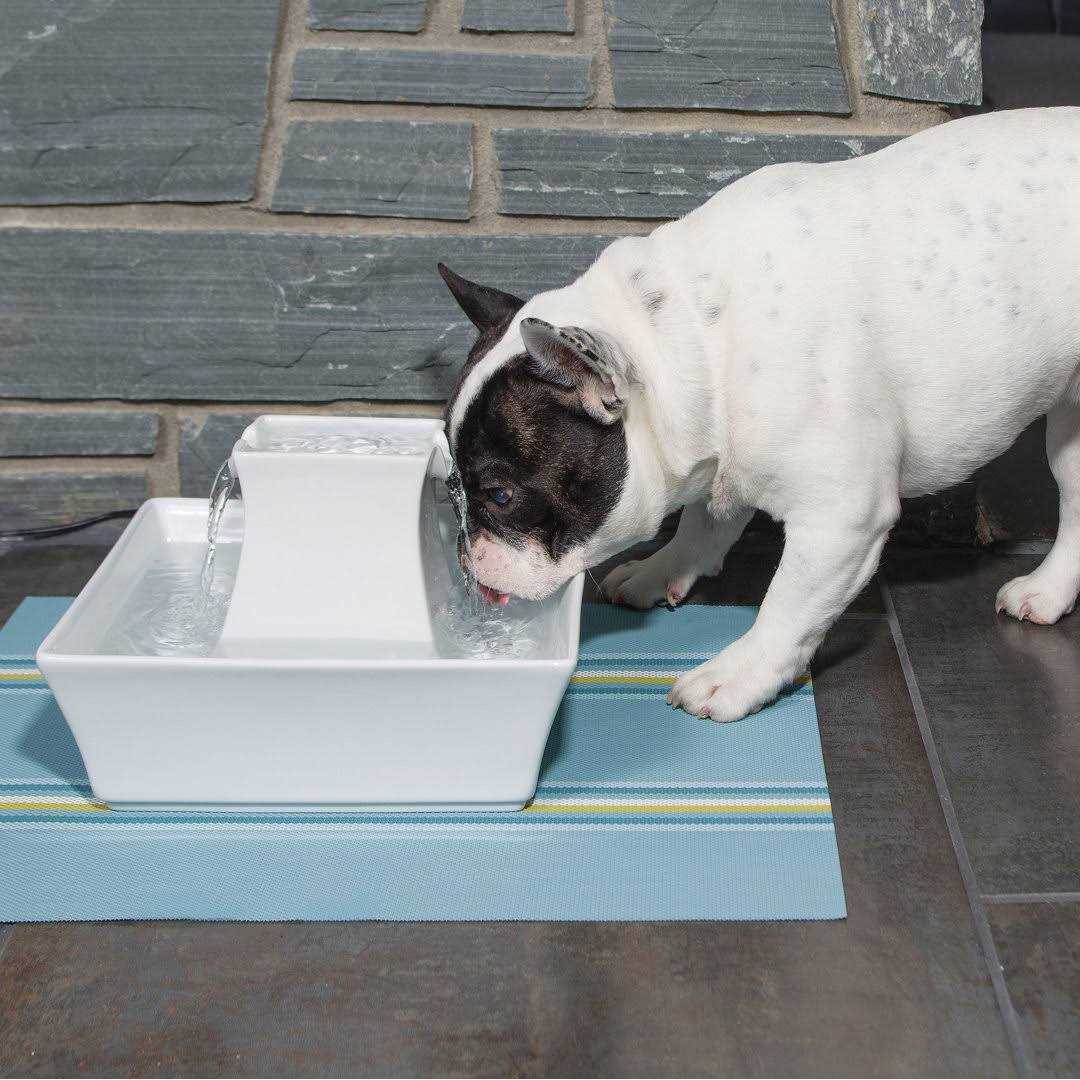 PetSafe Drinkwell Pagoda Fountain - Image 3