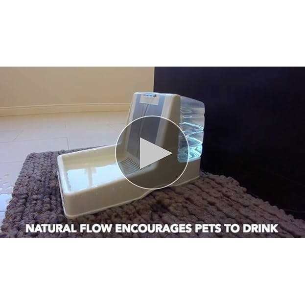 Petmate Fresh Flow II Fountain - Image 5