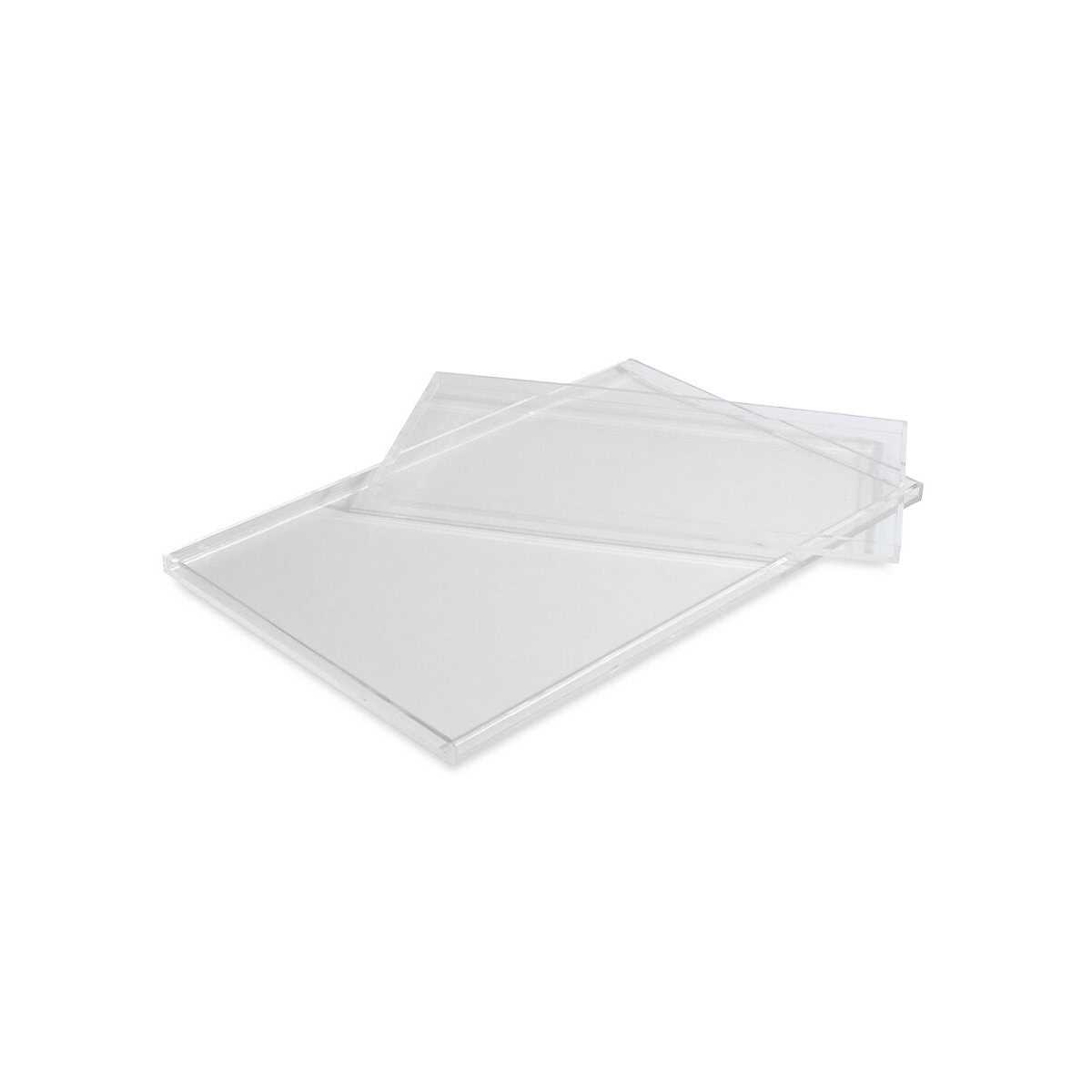 Hiddin Clear Overflow Feeder Tray - Image 3