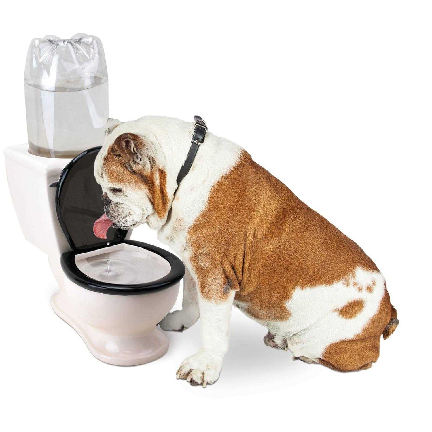 BigMouth Inc. The Toilet Water Dish for Dogs - Image 3
