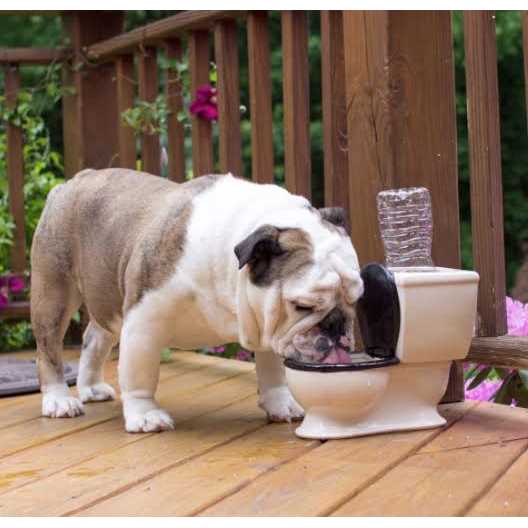 BigMouth Inc. The Toilet Water Dish for Dogs - Image 5