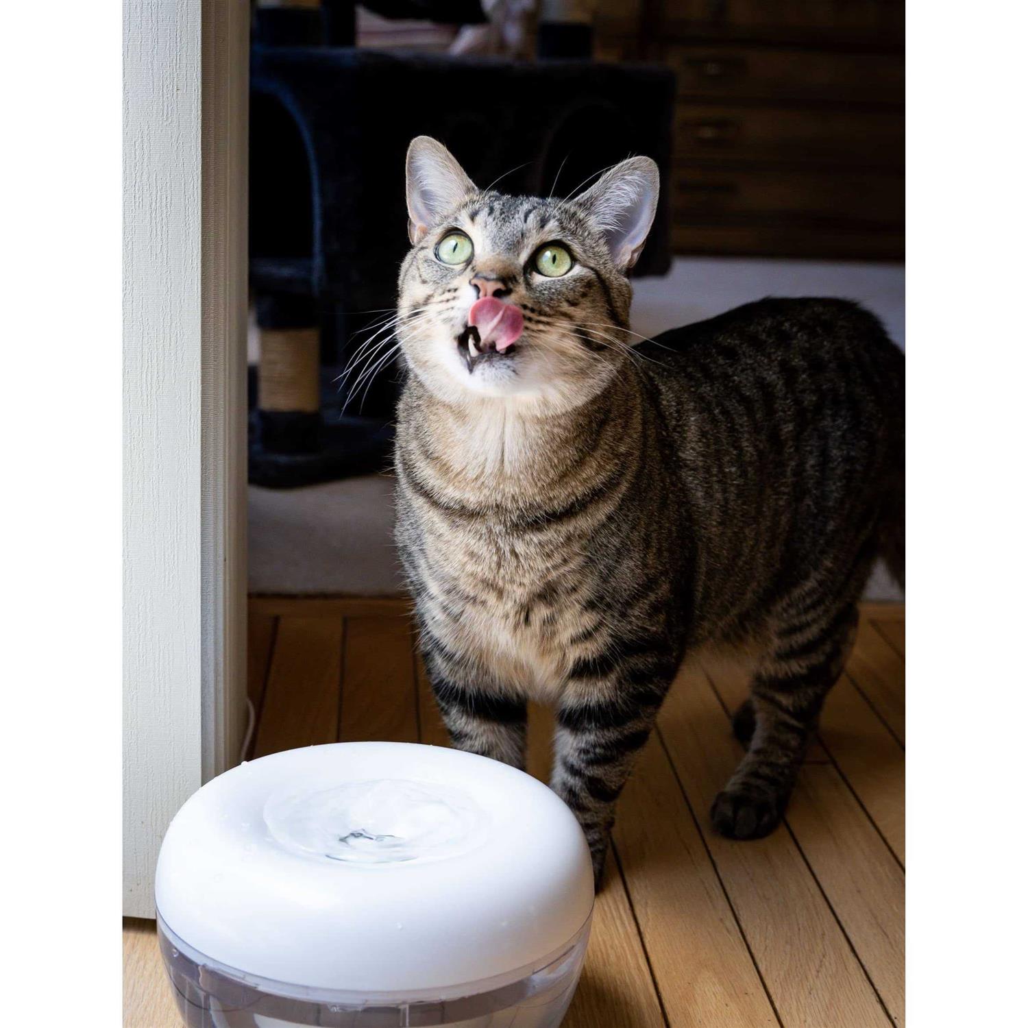 IntelliLeash PURRoducts Purrfect Water Fountain for Cats and Small Dogs with Premium 5-Layer Filter That Lasts Up To Two Months. Splash Free and Tip - Image 4