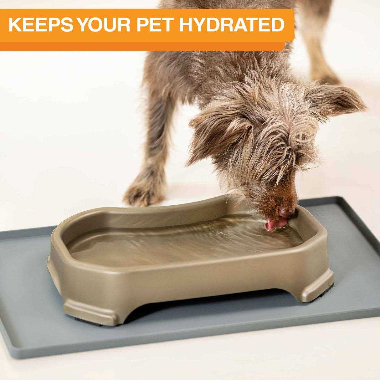 Neater Pet Brands Big Bowl Extra Large Water Bowl for Dogs - Image 5