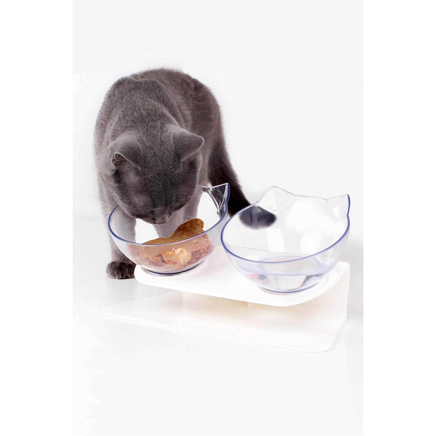 Laifug Elevated Cat Bowls - Image 4
