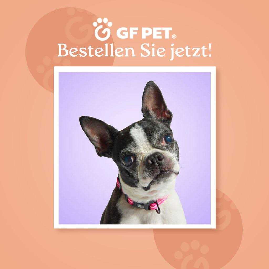 GF Pet Acrylic Double Feeder - Image 5