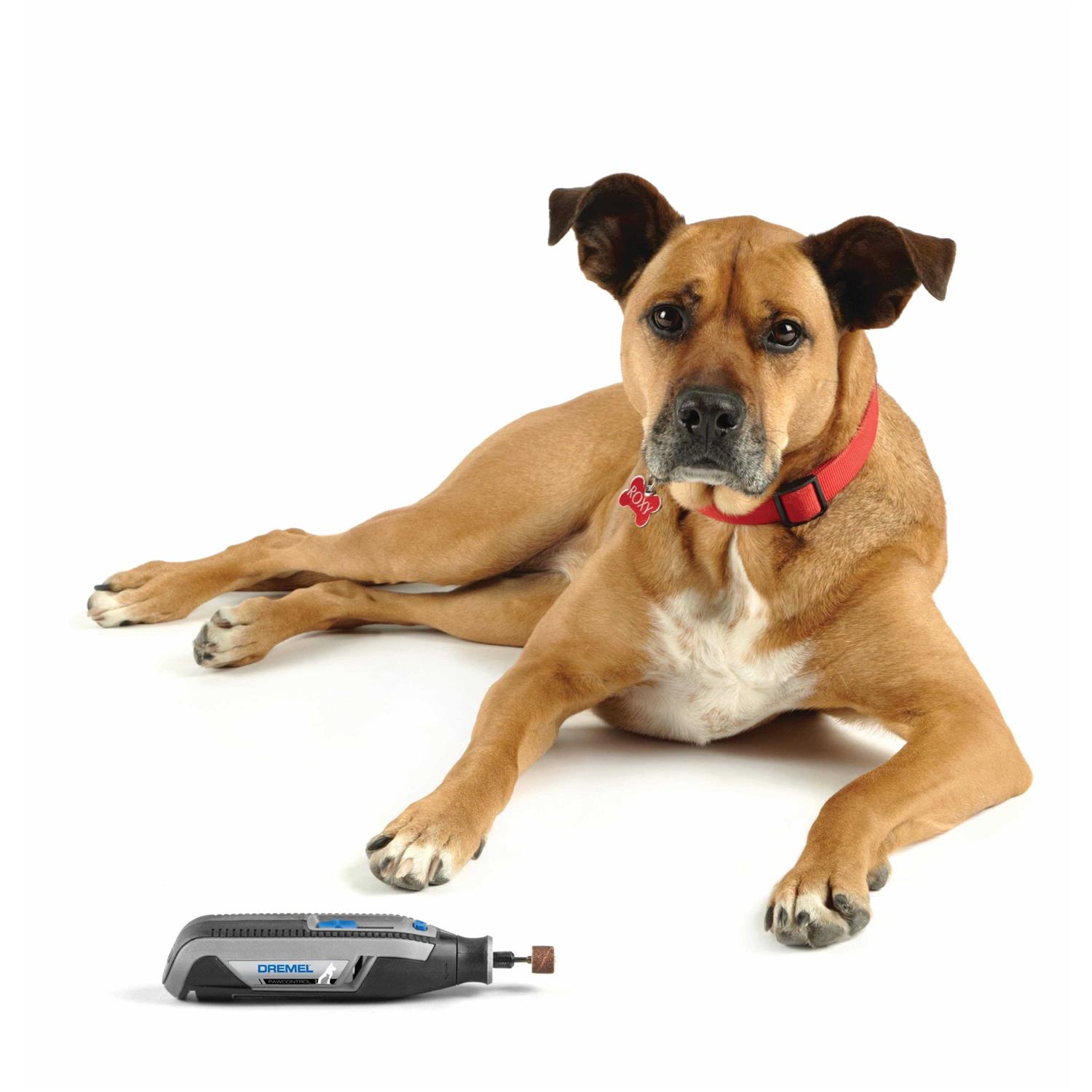 Dremel Pet Nail Grooming Kit 4 Volt Cordless - Image 3