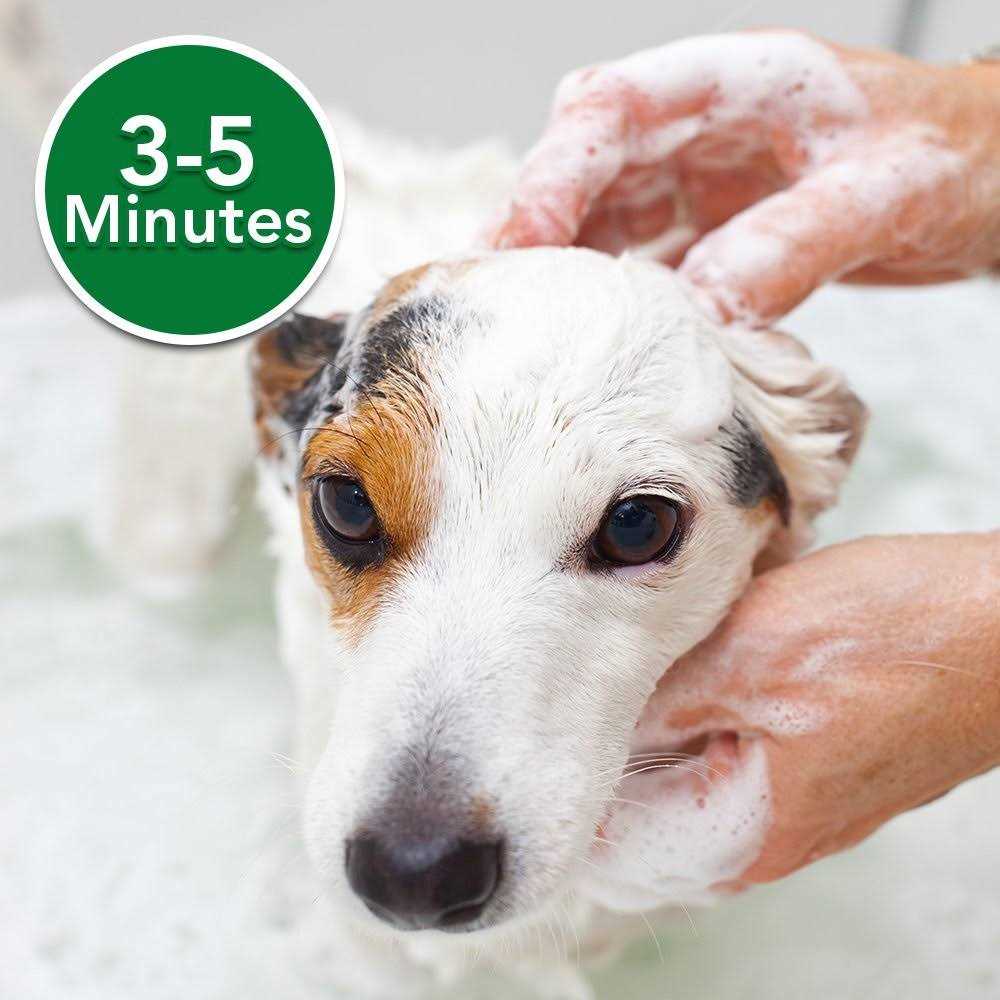Vet's Best Oatmeal Medicated Dog Shampoo - Image 3